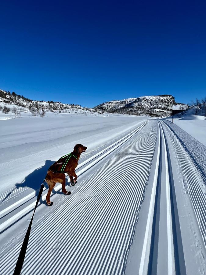 Flott Leilighet Pa Haugen I Sirdal Tjorhom Exterior photo