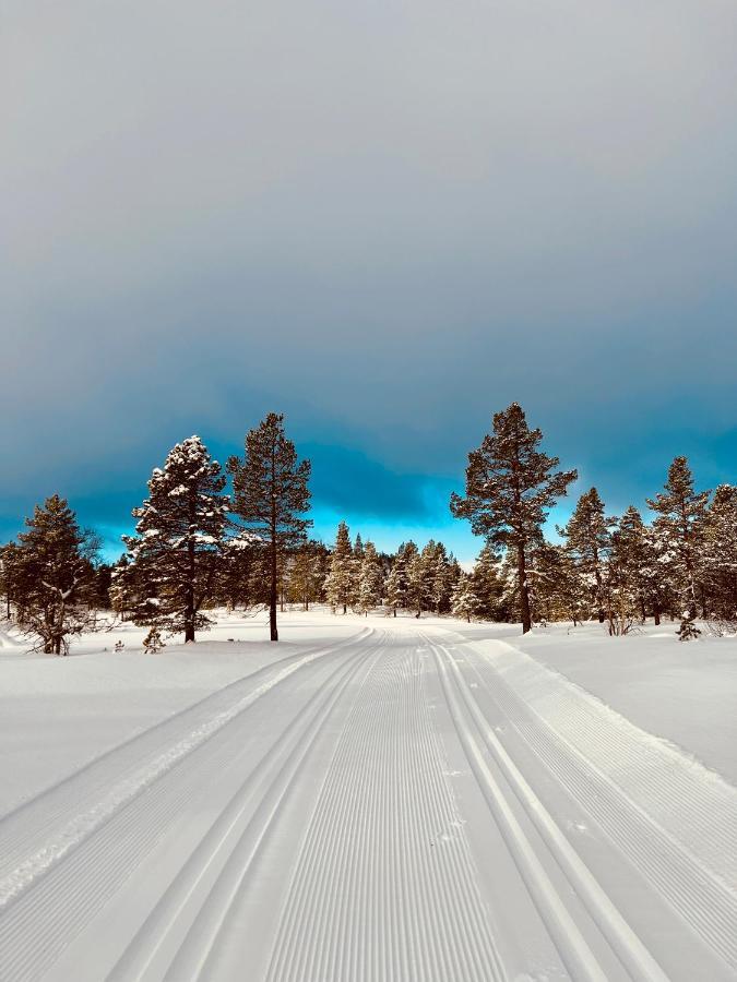 Flott Leilighet Pa Haugen I Sirdal Tjorhom Exterior photo